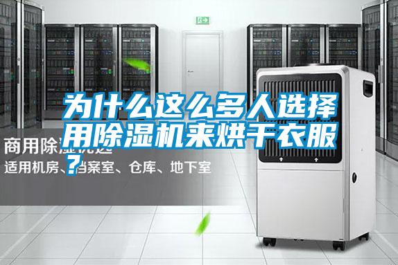 為什么這么多人選擇用除濕機來烘干衣服?