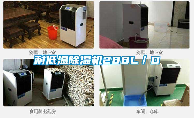 耐低溫除濕機288L/D