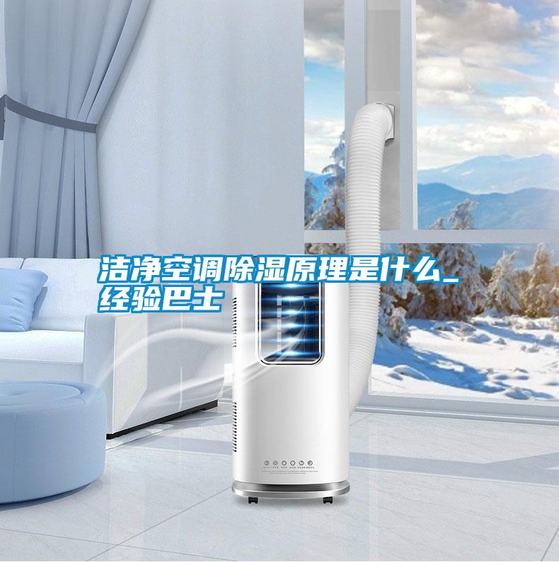潔凈空調除濕原理是什么_經驗巴士