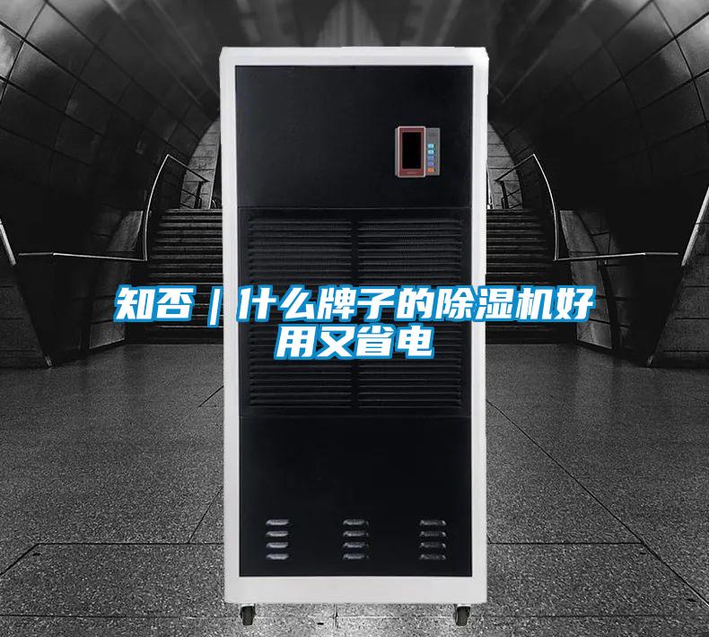 知否|什么牌子的除濕機好用又省電