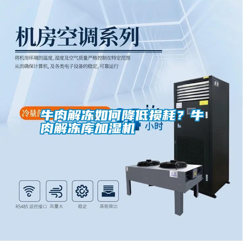 牛肉解凍如何降低損耗?牛肉解凍庫加濕機