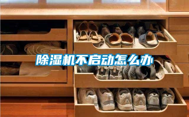 除濕機(jī)不啟動(dòng)怎么辦