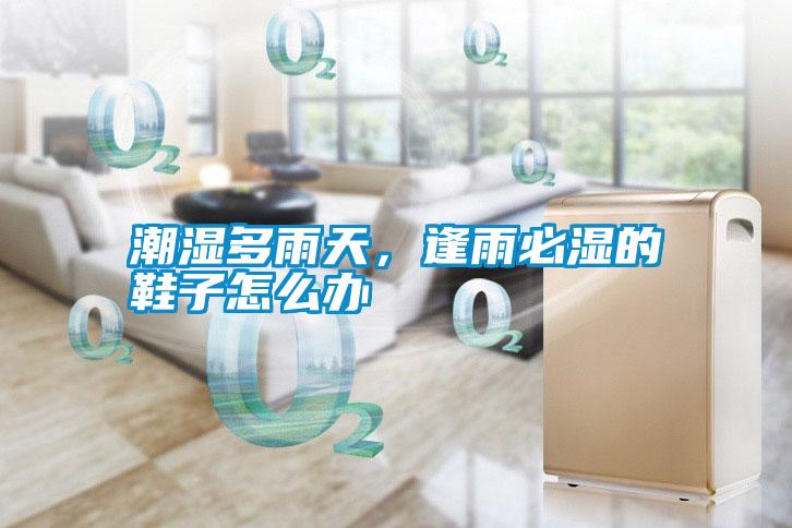 潮濕多雨天，逢雨必濕的鞋子怎么辦