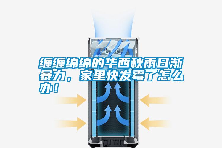纏纏綿綿的華西秋雨日漸暴力，家里快發(fā)霉了怎么辦！