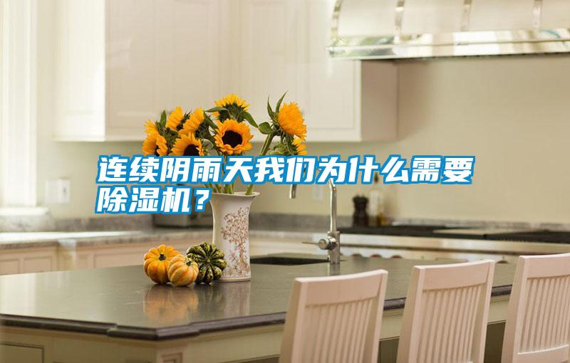 連續陰雨天我們為什么需要除濕機？