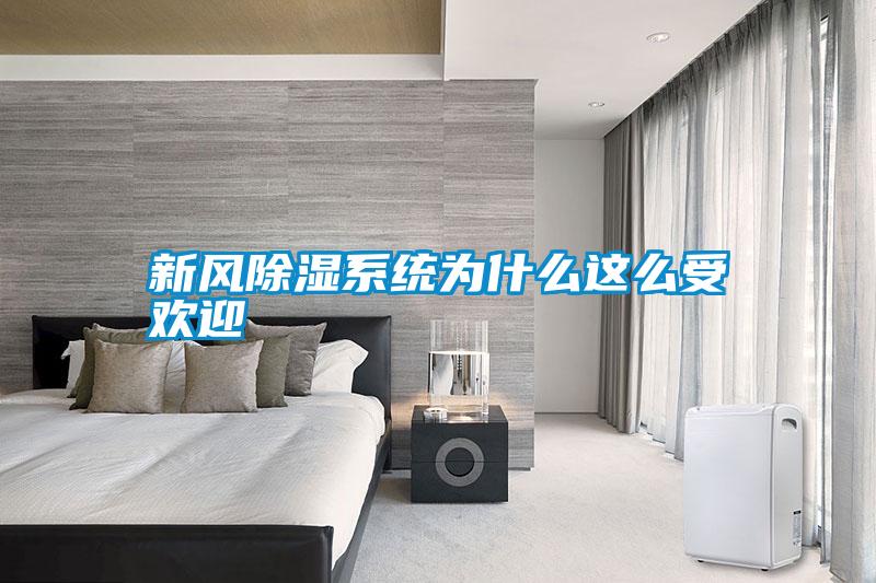 新風除濕系統為什么這么受歡迎