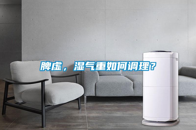 脾虛,濕氣重如何調(diào)理?