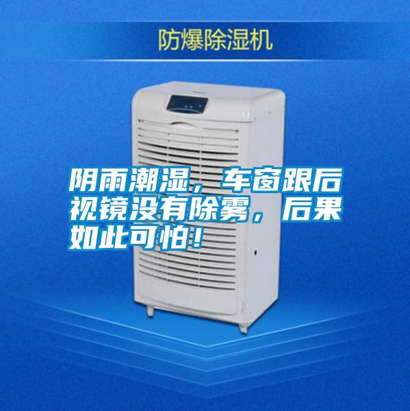 陰雨潮濕,車窗跟后視鏡沒有除霧,后果如此可怕!