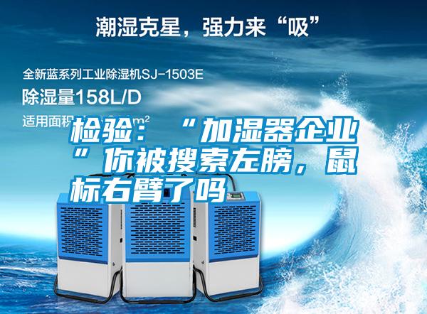 檢驗：“加濕器企業”你被搜索左膀，鼠標右臂了嗎