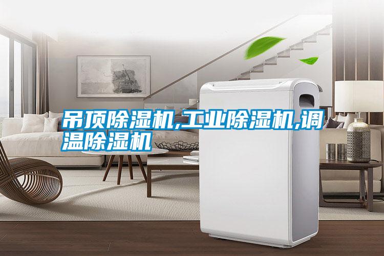 吊頂除濕機,工業除濕機,調溫除濕機