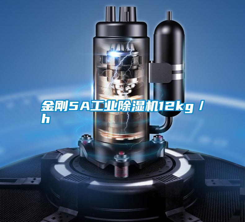 金剛5A工業(yè)除濕機12kg/h