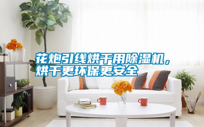 花炮引線烘干用除濕機，烘干更環保更安全