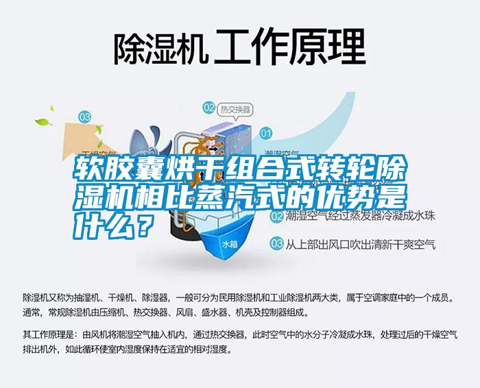 軟膠囊烘干組合式轉輪除濕機相比蒸汽式的優勢是什么？