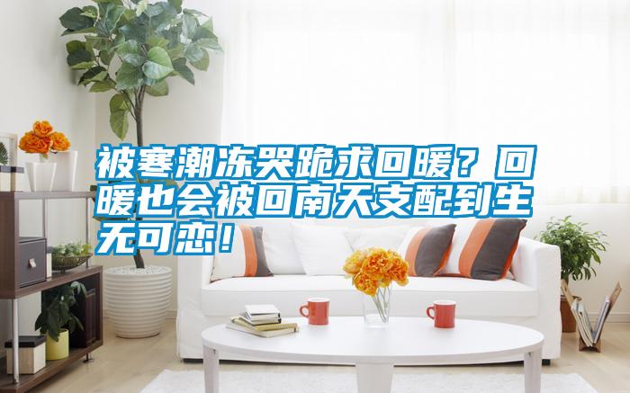 被寒潮凍哭跪求回暖?回暖也會被回南天支配到生無可戀!
