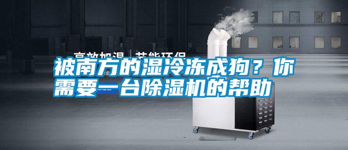 被南方的濕冷凍成狗？你需要一臺除濕機的幫助