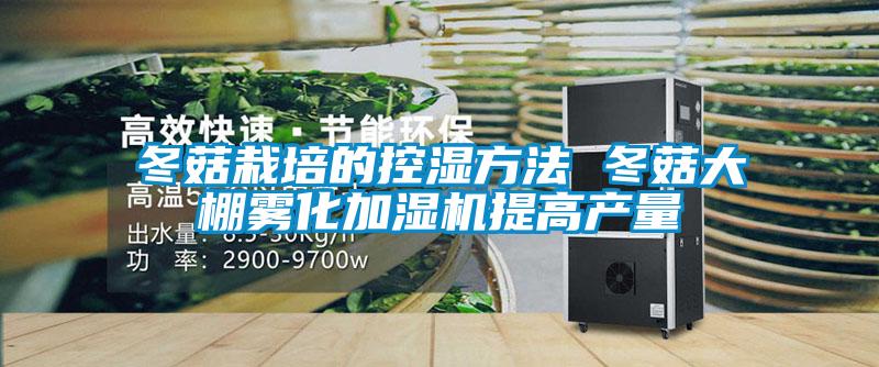 冬菇栽培的控濕方法 冬菇大棚霧化加濕機提高產量