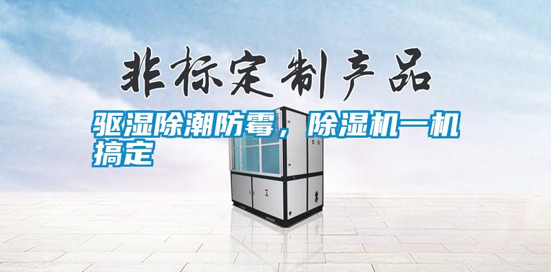 驅濕除潮防霉,除濕機一機搞定