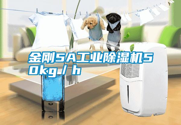 金剛5A工業(yè)除濕機50kg/h
