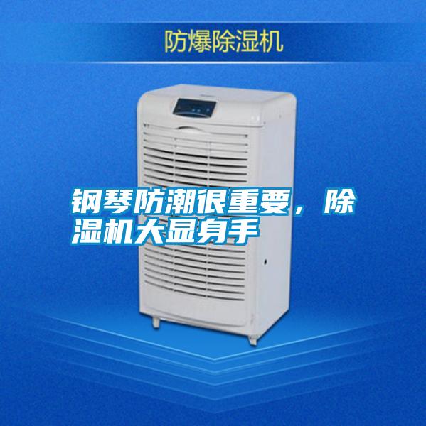 鋼琴防潮很重要,除濕機大顯身手