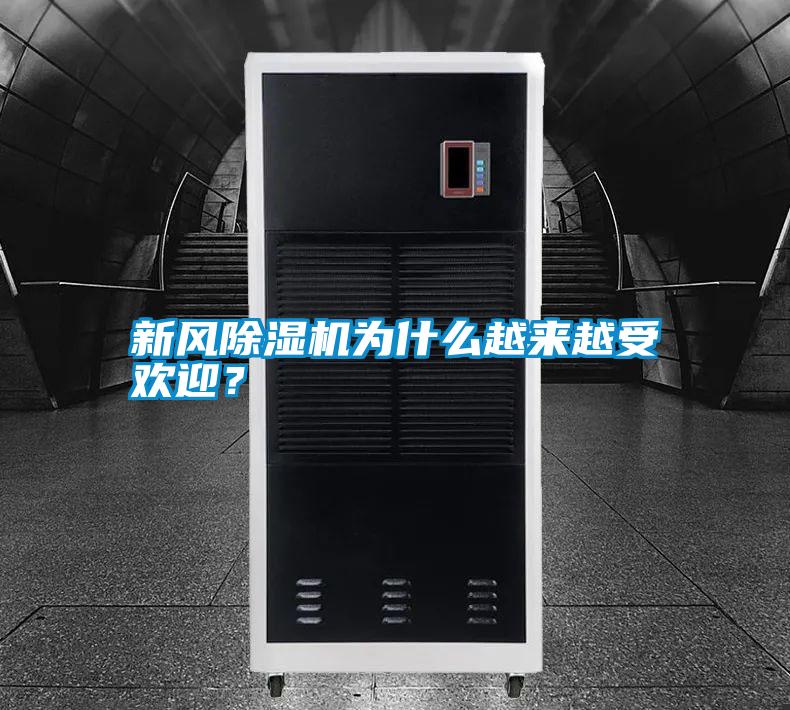 新風除濕機為什么越來越受歡迎?