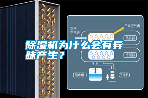 除濕機(jī)為什么會(huì)有異味產(chǎn)生?