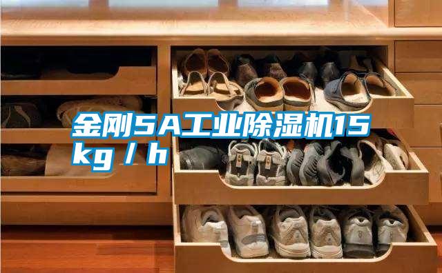 金剛5A工業(yè)除濕機15kg/h
