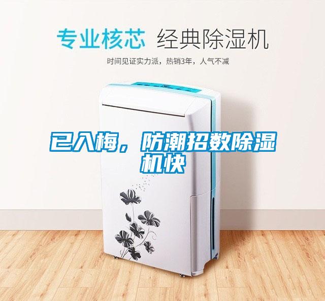已入梅,防潮招數(shù)除濕機(jī)快