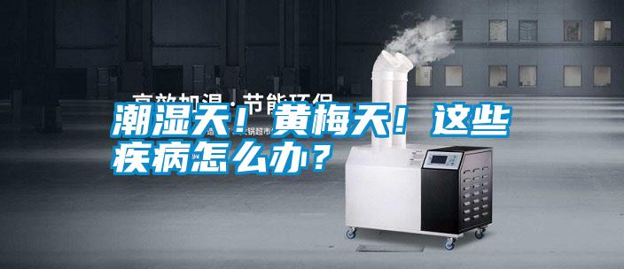 潮濕天！黃梅天！這些疾病怎么辦？
