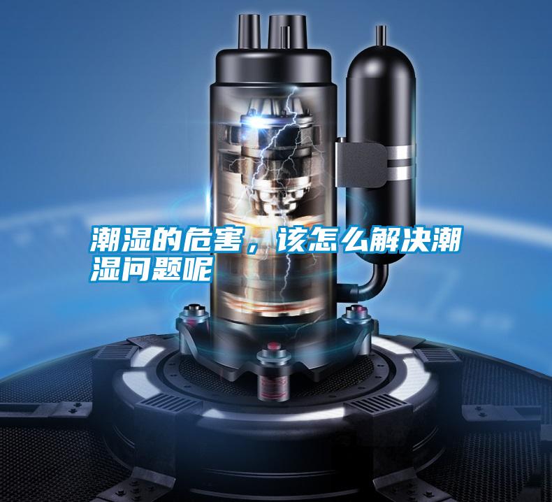 潮濕的危害,該怎么解決潮濕問題呢