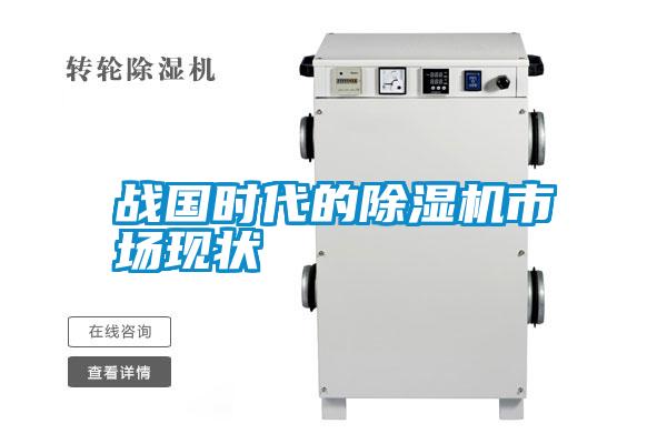 戰(zhàn)國時(shí)代的除濕機(jī)市場(chǎng)現(xiàn)狀