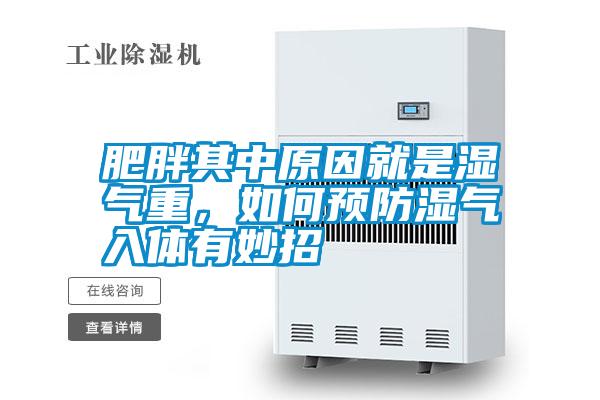 肥胖其中原因就是濕氣重,如何預防濕氣入體有妙招