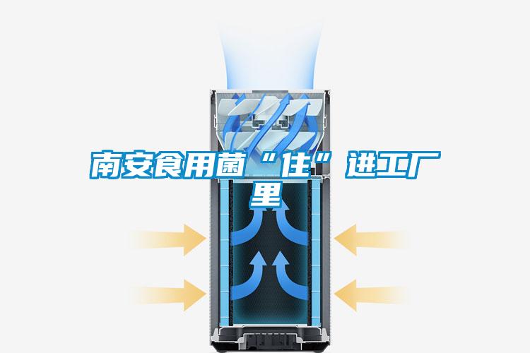 南安食用菌“住”進(jìn)工廠(chǎng)里