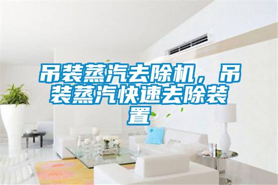 吊裝蒸汽去除機,吊裝蒸汽快速去除裝置