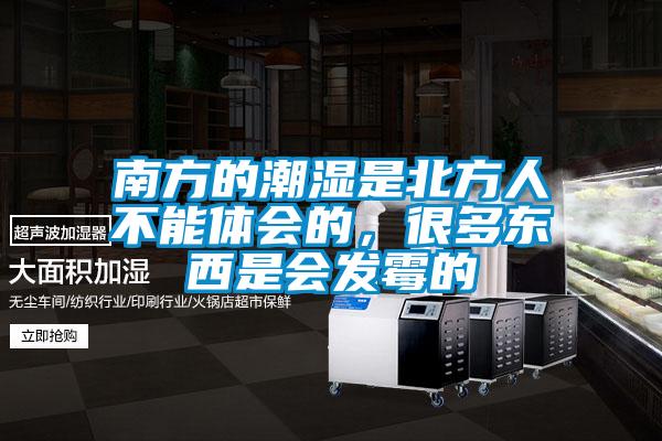 南方的潮濕是北方人不能體會的,很多東西是會發霉的