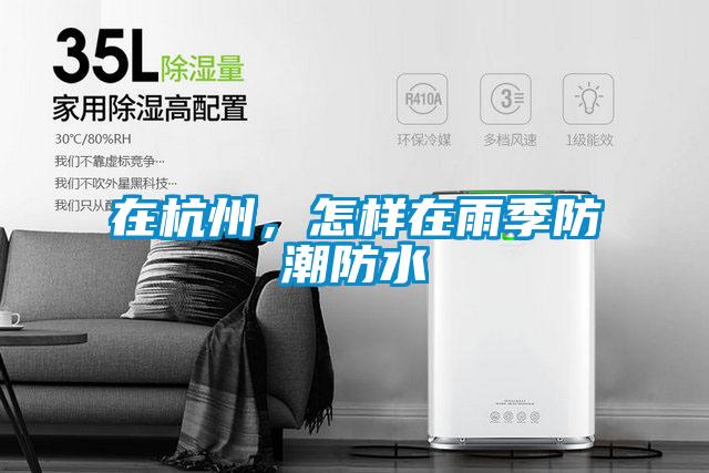 在杭州,怎樣在雨季防潮防水