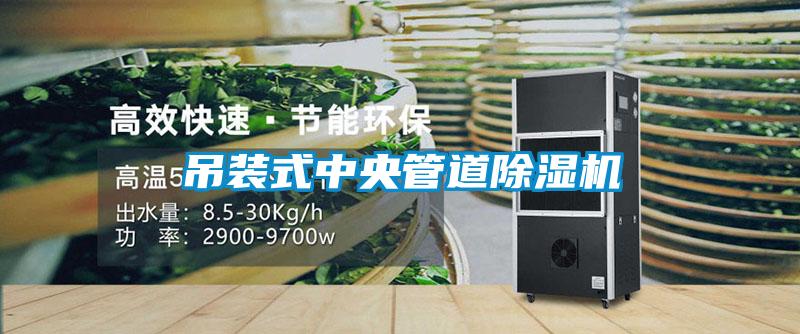 吊裝式中央管道除濕機