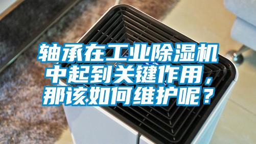 軸承在工業除濕機中起到關鍵作用,那該如何維護呢?