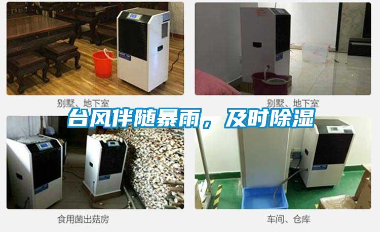 臺風伴隨暴雨，及時除濕