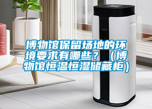 博物館保留場地的環(huán)境要求有哪些？（博物館恒溫恒濕儲(chǔ)藏柜）