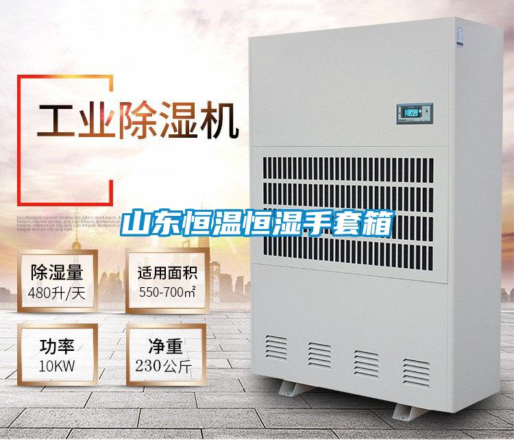 山東恒溫恒濕手套箱