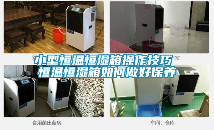 小型恒溫恒濕箱操作技巧 恒溫恒濕箱如何做好保養