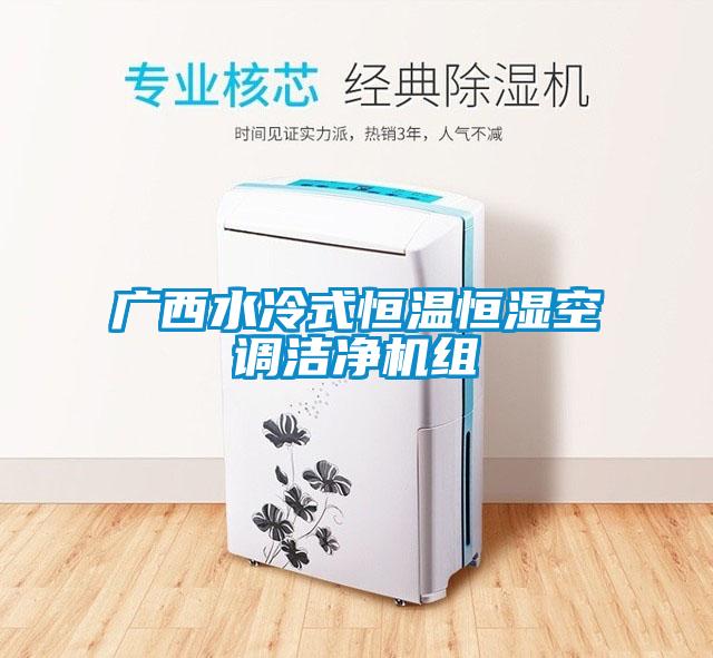 廣西水冷式恒溫恒濕空調潔凈機組