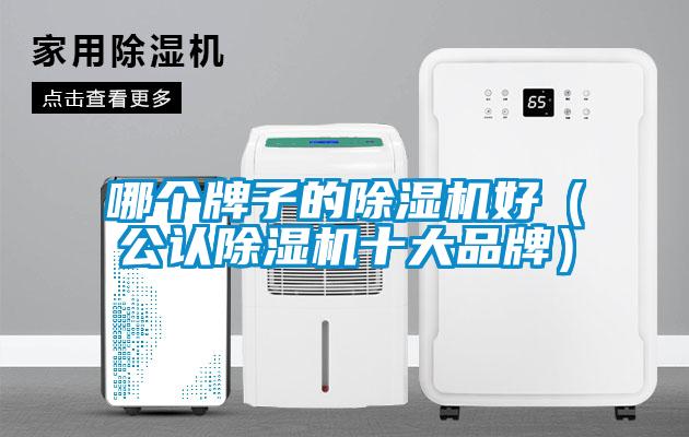 哪個牌子的除濕機好(公認除濕機十大品牌)