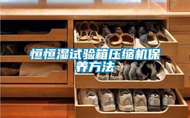 恒恒濕試驗箱壓縮機保養方法