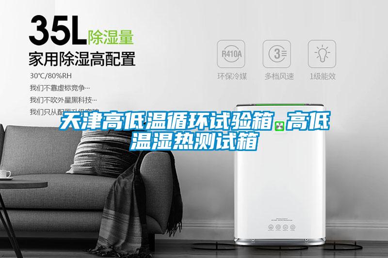 天津高低溫循環試驗箱 高低溫濕熱測試箱