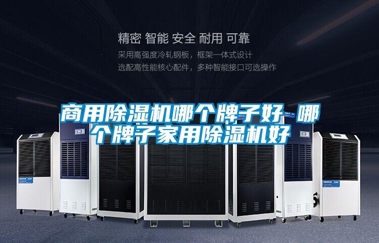 商用除濕機哪個牌子好 哪個牌子家用除濕機好