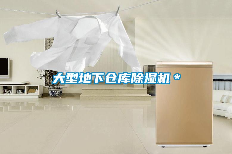 大型地下倉(cāng)庫(kù)除濕機(jī)*