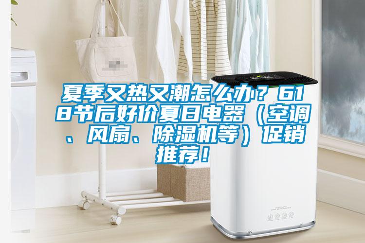 夏季又熱又潮怎么辦?618節(jié)后好價夏日電器(空調(diào)、風扇、除濕機等)促銷推薦!