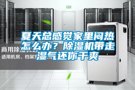 夏天總感覺家里悶熱怎么辦?除濕機帶走濕氣還你干爽