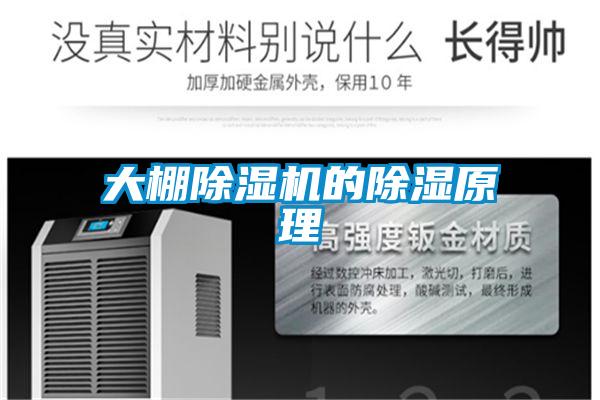 大棚除濕機的除濕原理